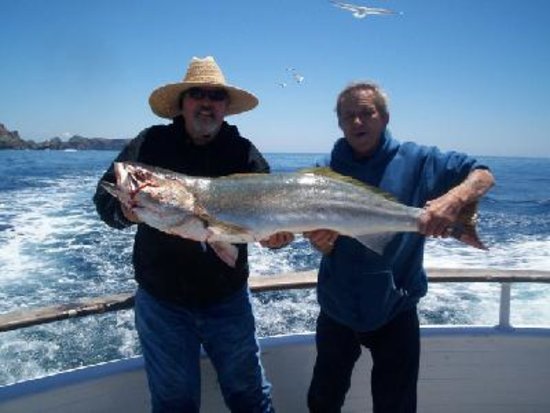 Gentleman Sportfishing – Channel Island Sportfishing